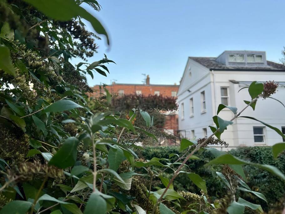 Vernon Place Town Centre, Vernon Cottage 3-Bed With Parking, 1A Vernon Court 2-Bed With Parking, 1B Studio No Parking, Off The High Street Next To Sandford Park Cheltenham Exterior foto